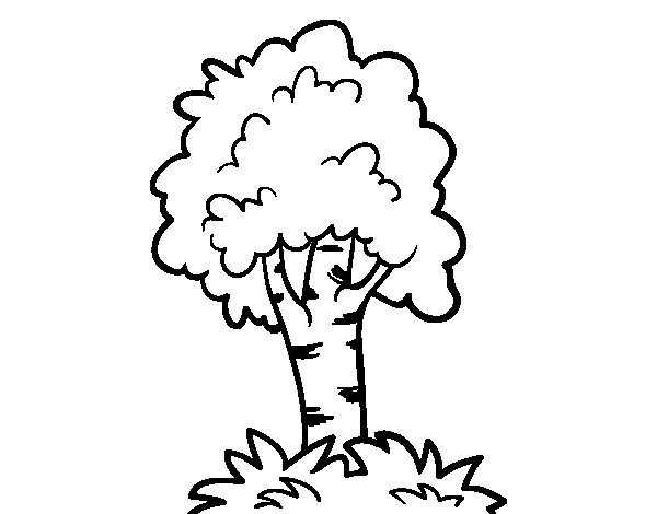 ぬりえページ: 木 (自然) #154819 - 無料の印刷可能なぬりえページ