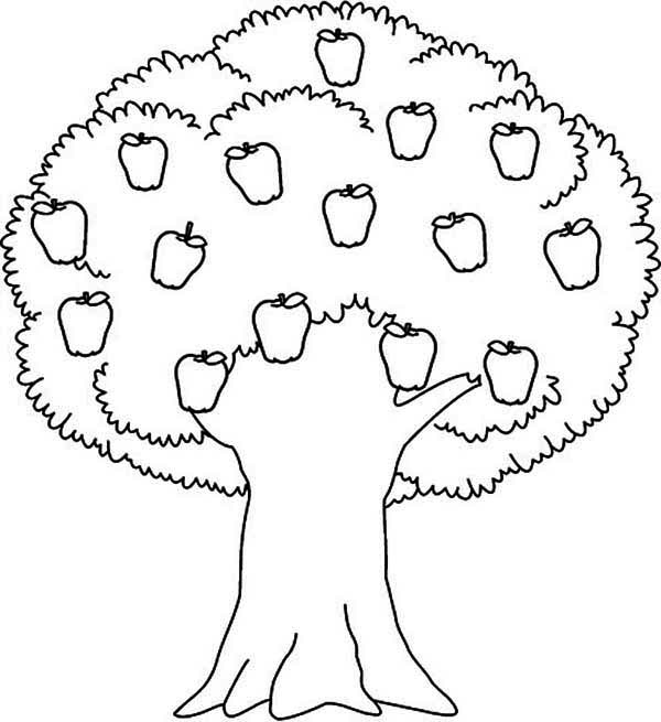 ぬりえページ: 木 (自然) #154851 - 無料の印刷可能なぬりえページ