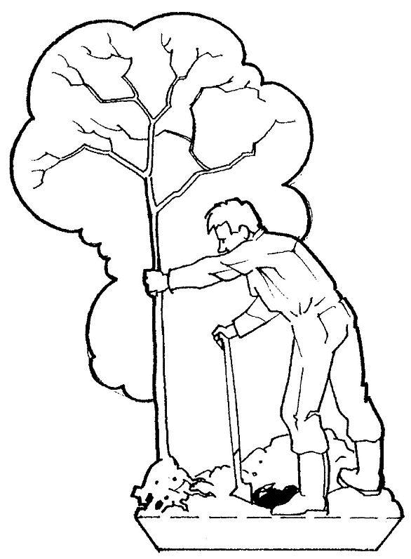 ぬりえページ: 木 (自然) #154874 - 無料の印刷可能なぬりえページ