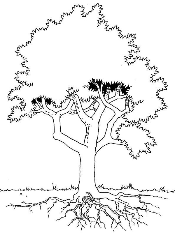 ぬりえページ: 木 (自然) #154887 - 無料の印刷可能なぬりえページ