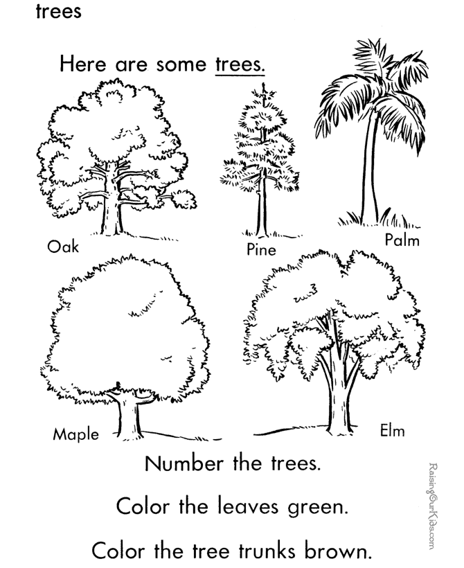 ぬりえページ: 木 (自然) #154914 - 無料の印刷可能なぬりえページ