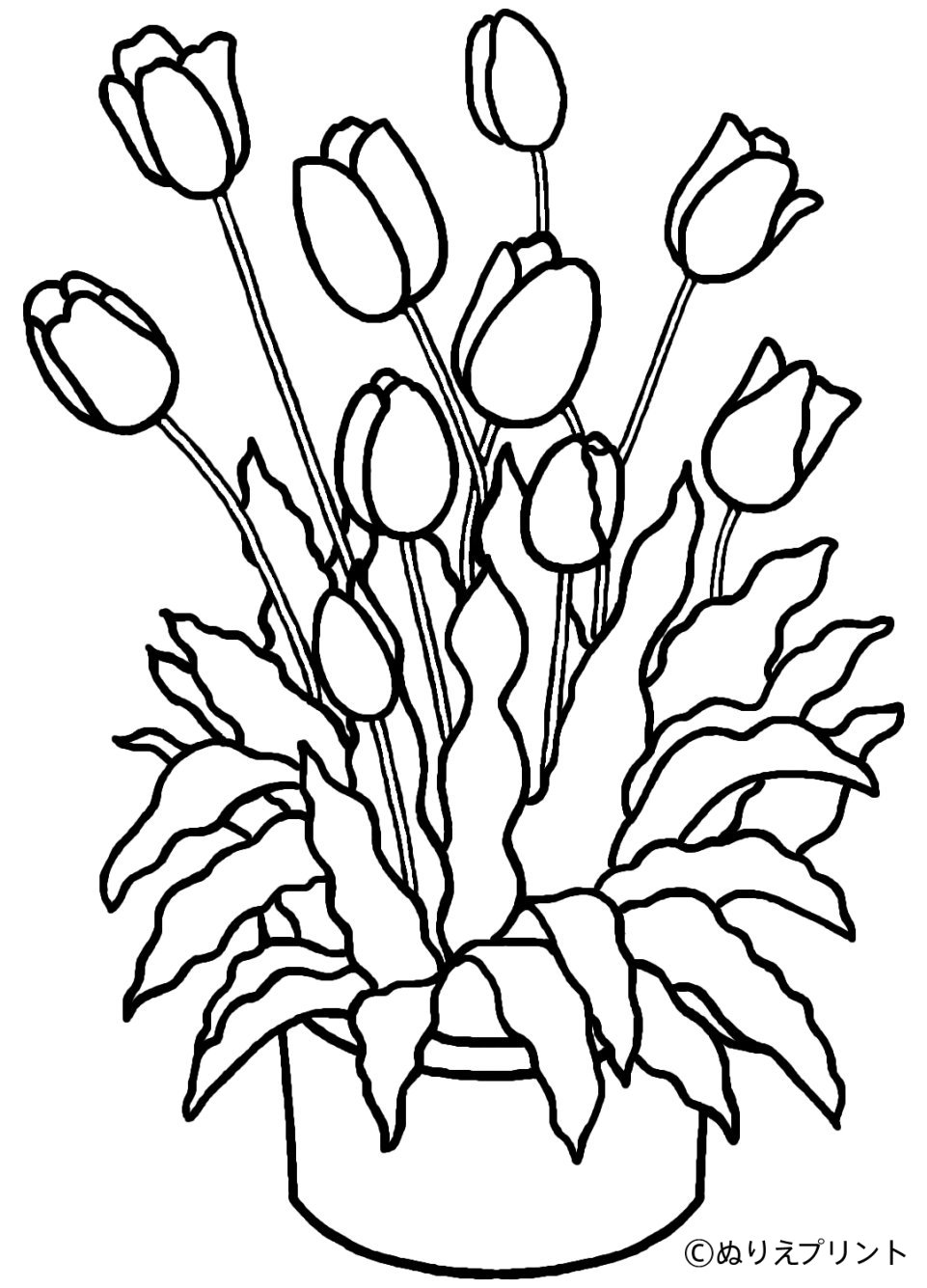 ぬりえページ: チューリップ (自然) #161649 - 無料の印刷可能なぬりえページ