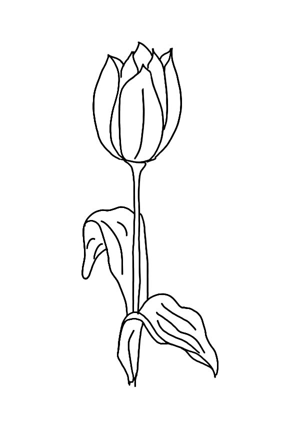 ぬりえページ: チューリップ (自然) #161801 - 無料の印刷可能なぬりえページ