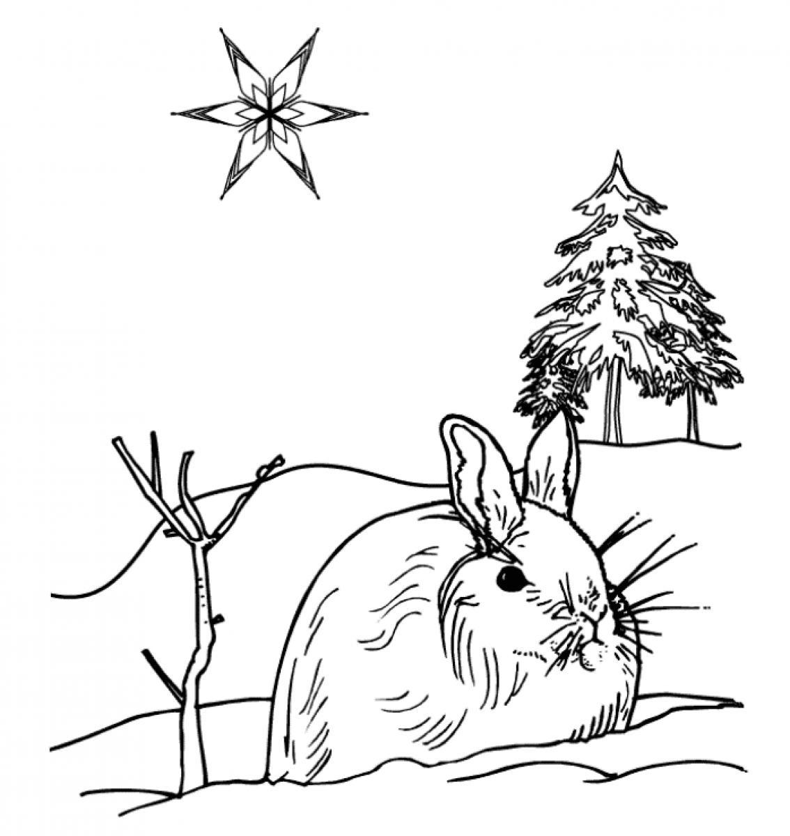 ぬりえページ: 冬季 (自然) #164716 - 無料の印刷可能なぬりえページ