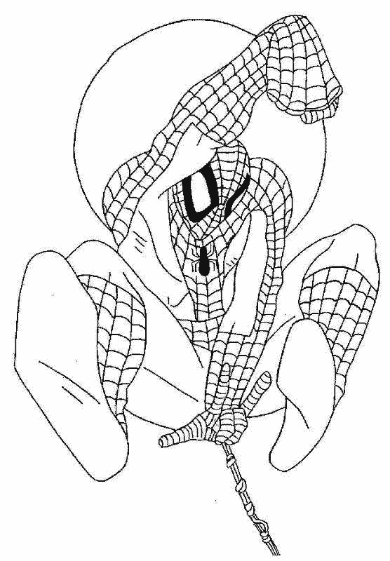 ぬりえページ: スパイダーマン (スーパーヒーロー) #78678 - 無料の印刷可能なぬりえページ