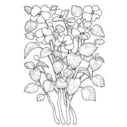 ぬりえ: 大人の花 - 無料の印刷可能なぬりえページ