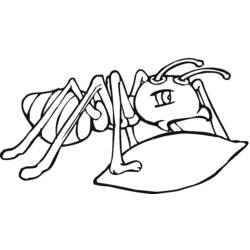 ぬりえページ: 蟻 (動物) #6920 - 無料の印刷可能なぬりえページ