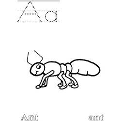 ぬりえページ: 蟻 (動物) #6946 - 無料の印刷可能なぬりえページ