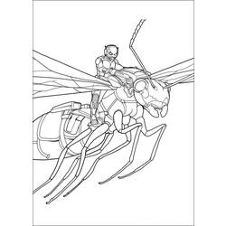 ぬりえページ: 蟻 (動物) #6976 - 無料の印刷可能なぬりえページ