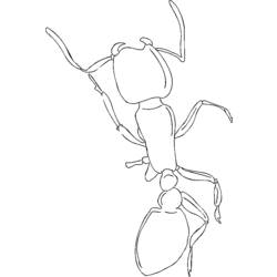 ぬりえページ: 蟻 (動物) #6984 - 無料の印刷可能なぬりえページ