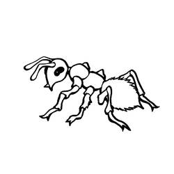 ぬりえページ: 蟻 (動物) #7001 - 無料の印刷可能なぬりえページ