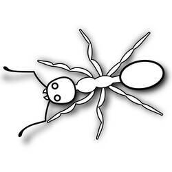 ぬりえページ: 蟻 (動物) #7017 - 無料の印刷可能なぬりえページ