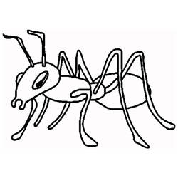 ぬりえ: 蟻 - 無料の印刷可能なぬりえページ