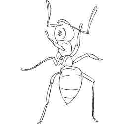 ぬりえページ: 蟻 (動物) #7036 - 無料の印刷可能なぬりえページ