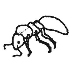 ぬりえページ: 蟻 (動物) #7038 - 無料の印刷可能なぬりえページ