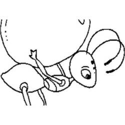 ぬりえページ: 蟻 (動物) #7052 - 無料の印刷可能なぬりえページ