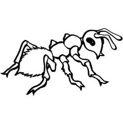 ぬりえページ: 蟻 (動物) #7085 - 無料の印刷可能なぬりえページ