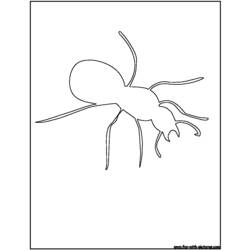 ぬりえページ: 蟻 (動物) #7094 - 無料の印刷可能なぬりえページ