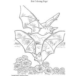 ぬりえページ: コウモリ (動物) #2027 - 無料の印刷可能なぬりえページ