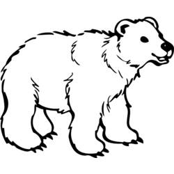 ぬりえページ: クマ (動物) #12229 - 無料の印刷可能なぬりえページ