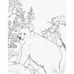 ぬりえページ: クマ (動物) #12314 - 無料の印刷可能なぬりえページ