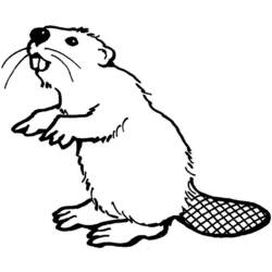 ぬりえページ: ビーバー (動物) #1571 - 無料の印刷可能なぬりえページ