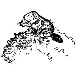 ぬりえページ: ビーバー (動物) #1590 - 無料の印刷可能なぬりえページ