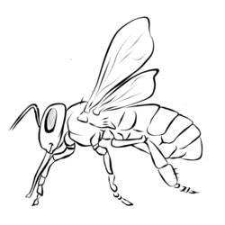 ぬりえページ: 蜂 (動物) #125 - 無料の印刷可能なぬりえページ