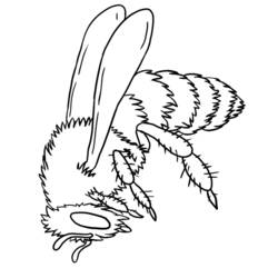 ぬりえページ: 蜂 (動物) #141 - 無料の印刷可能なぬりえページ