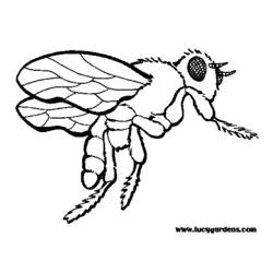ぬりえページ: 蜂 (動物) #161 - 無料の印刷可能なぬりえページ
