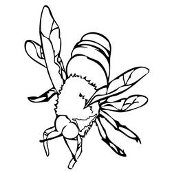 ぬりえページ: 蜂 (動物) #82 - 無料の印刷可能なぬりえページ