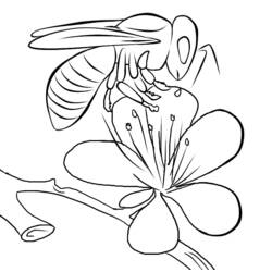 ぬりえページ: 蜂 (動物) #83 - 無料の印刷可能なぬりえページ