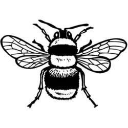 ぬりえページ: 蜂 (動物) #97 - 無料の印刷可能なぬりえページ
