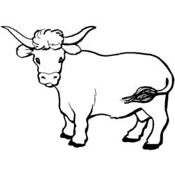 ぬりえページ: 牛肉 (動物) #1342 - 無料の印刷可能なぬりえページ