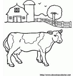 ぬりえページ: 牛肉 (動物) #1347 - 無料の印刷可能なぬりえページ