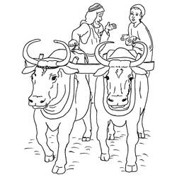 ぬりえページ: 牛肉 (動物) #1356 - 無料の印刷可能なぬりえページ