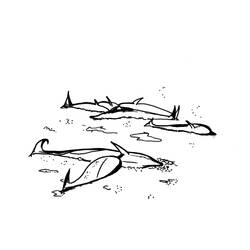 ぬりえページ: シロイルカ (動物) #1079 - 無料の印刷可能なぬりえページ