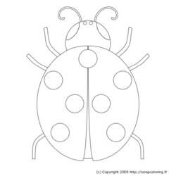ぬりえページ: てんとう虫 (動物) #3387 - 無料の印刷可能なぬりえページ
