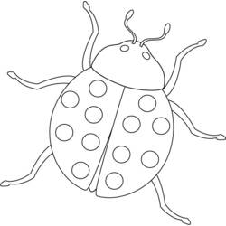 ぬりえページ: てんとう虫 (動物) #3388 - 無料の印刷可能なぬりえページ