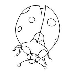 ぬりえページ: てんとう虫 (動物) #3397 - 無料の印刷可能なぬりえページ