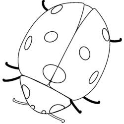 ぬりえページ: てんとう虫 (動物) #3418 - 無料の印刷可能なぬりえページ