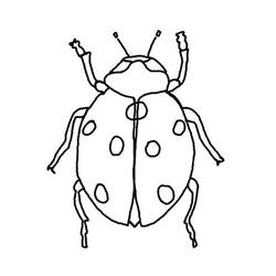 ぬりえページ: てんとう虫 (動物) #3425 - 無料の印刷可能なぬりえページ