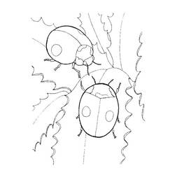 ぬりえページ: てんとう虫 (動物) #3437 - 無料の印刷可能なぬりえページ