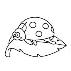 ぬりえページ: てんとう虫 (動物) #3447 - 無料の印刷可能なぬりえページ