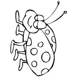 ぬりえページ: てんとう虫 (動物) #3475 - 無料の印刷可能なぬりえページ