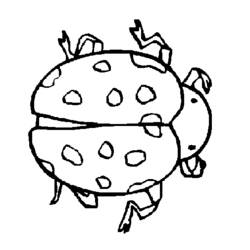 ぬりえページ: てんとう虫 (動物) #3487 - 無料の印刷可能なぬりえページ