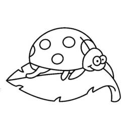 ぬりえページ: てんとう虫 (動物) #3493 - 無料の印刷可能なぬりえページ