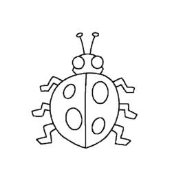 ぬりえページ: てんとう虫 (動物) #3505 - 無料の印刷可能なぬりえページ