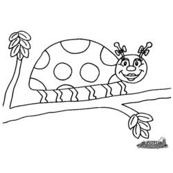 ぬりえページ: てんとう虫 (動物) #3568 - 無料の印刷可能なぬりえページ
