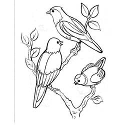 ぬりえページ: 鳥 (動物) #11841 - 無料の印刷可能なぬりえページ